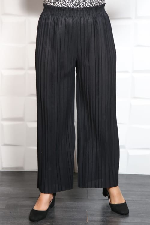 IMG 2165 - Pantalon Elegant Plisat Cod 001