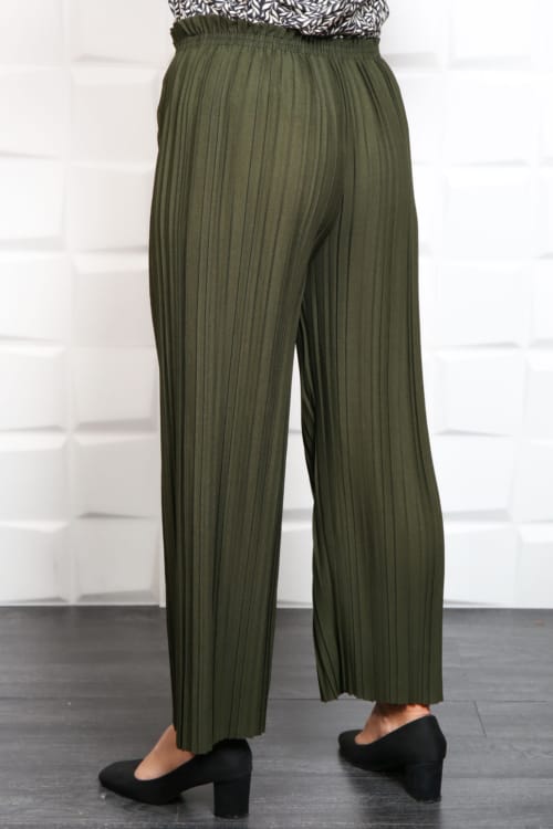 IMG 2168 - Pantalon Elegant Plisat Cod 002
